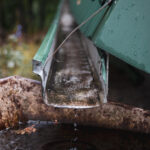 A vertical closeup of a roof drain pipe
